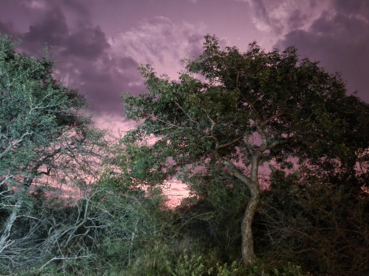 Larima Bush Retreat Villa Hoedspruit Buitenkant foto