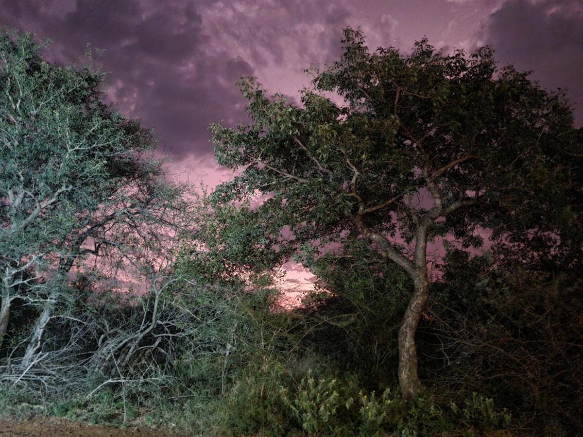 Larima Bush Retreat Villa Hoedspruit Buitenkant foto